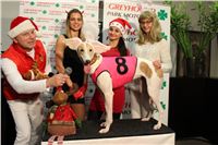 mikulas_greyhound_race_greyhound_park_prague_cgdf_IMG_8841.JPG