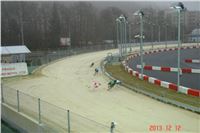 Seat_Greyhound_Race_Greyhound_Park_Prague_ (35).JPG