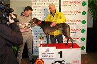 Seat_Greyhound_Race_Greyhound_Park_Prague_ (42).JPG