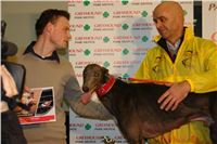 Seat_Greyhound_Race_Greyhound_Park_Prague_ (43).JPG