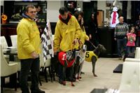 Chrti_dostihy_Winter_Cup_Greyhound_Park_Prague_NQ1M0389.JPG