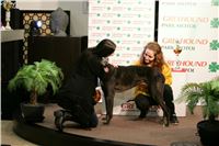 Chrti_dostihy_Winter_Cup_Greyhound_Park_Prague_NQ1M0411.JPG