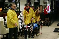 Chrti_dostihy_Winter_Cup_Greyhound_Park_Prague_NQ1M0419.JPG