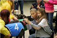 Chrti_dostihy_Winter_Cup_Greyhound_Park_Prague_NQ1M0436.JPG