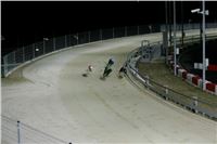 Chrti_dostihy_Winter_Cup_Greyhound_Park_Prague_NQ1M0451.JPG