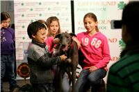 Chrti_dostihy_Winter_Cup_Greyhound_Park_Prague_NQ1M0519.JPG