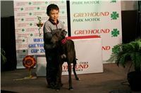 Chrti_dostihy_Winter_Cup_Greyhound_Park_Prague_NQ1M0527.JPG