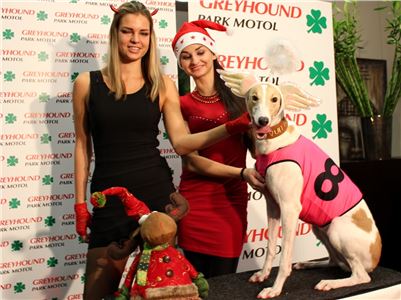 PF_Queen_Vuitton_Czech_Greyhound_Racing_Federation_IMG_8867_v.jpg