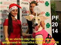 PF_Queen_Vuitton_Czech_Greyhound_Racing_Federation_IMG_8882_v.JPG