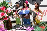 Czech_Greyhound_Racing_Federation_Cayenn_NQ1M5972.JPG