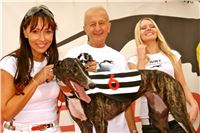 Czech_Greyhound_Racing_Federation_Cossalina_DSC05039.JPG