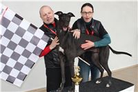 First_Solo_Racing_Greyhound_Park_Motol_CGDF_IMG_0450.jpg