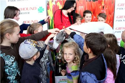 Ferrari_Enzo_a_Greyhound_White_JC_Greyhound_Park_Motol_Prague_IMG_1162.JPG