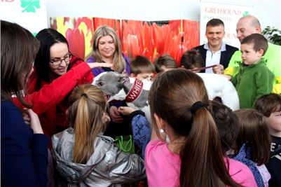 Ferrari_Enzo_a_Greyhound_White_JC_Greyhound_Park_Motol_Prague_IMG_1174.JPG