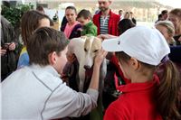 Ferrari_Enzo_a_Greyhound_Vuitton_JC_Greyhound_Park_Motol_Prague_IMG_1287.jpg