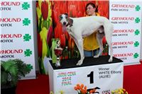 Jarni_cena_Greyhound_Park_Motol_Prague_IMG_1129.jpg