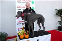 2. Winner_Big_Daddy_Gucci_Greyhound_Park_Prague_IMG_1533.JPG