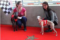 Dostihy_chrtu_Greyhound_Park_Motol_Chester_Aron_IMG_1604.JPG