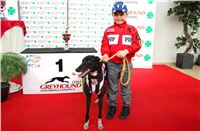 4-Dostihy_Chrtu_Ceska_Greyhound_Dostihova_Federace_IMG_1875.jpg