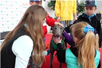 Dostihy_Chrtu_Ceska_Greyhound_Dostihova_Federace_Greyhound_park_Motol_IMG_1992.JPG