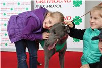 Dostihy_Chrtu_Ceska_Greyhound_Dostihova_Federace_Greyhound_park_Motol_IMG_2000.JPG