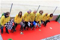 Dostihy_chrtu_May_Prix_Greyhound_Park_Motol_-IMG_3256.JPG