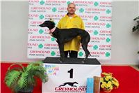 Dostihy_chrtu_May_Prix_Greyhound_Park_Motol_IMG_3290.JPG