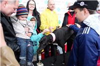 Dostihy_chrtu_May_Prix_Greyhound_Park_Motol_IMG_3316.JPG