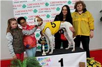 Dostihy_chrtu_May_Prix_Greyhound_Park_Motol_IMG_3360.JPG