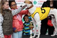 Dostihy_chrtu_May_Prix_Greyhound_Park_Motol_IMG_3364.JPG