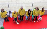 Dostihy_chrtu_May_Prix_Greyhound_Park_Motol_IMG_3367.JPG