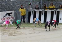 Dostihy_chrtu_May_Prix_Greyhound_Park_Motol_IMG_3378.JPG