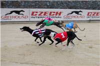 Dostihy_chrtu_May_Prix_Greyhound_Park_Motol_IMG_3381.JPG