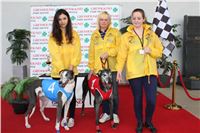 Bookmakers_Cup_Ceska_Greyhound_Dostihova_Federace_IMG_3490.JPG