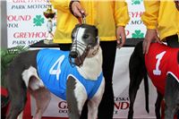 Bookmakers_Cup_Ceska_Greyhound_Dostihova_Federace_IMG_3493.JPG