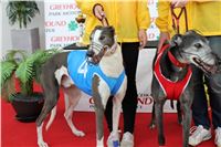 Bookmakers_Cup_Ceska_Greyhound_Dostihova_Federace_IMG_3496.JPG