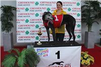 Bookmakers_Cup_Ceska_Greyhound_Dostihova_Federace_IMG_3509.JPG