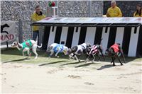 Bookmakers_Cup_Ceska_Greyhound_Dostihova_Federace_IMG_3544.JPG