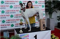 Bookmakers_Cup_Ceska_Greyhound_Dostihova_Federace_IMG_3561.JPG