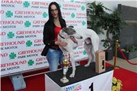 Bookmakers_Cup_Ceska_Greyhound_Dostihova_Federace_IMG_3568.JPG