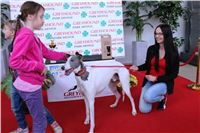 Bookmakers_Cup_Ceska_Greyhound_Dostihova_Federace_IMG_3597.JPG