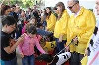 Bookmakers_Cup_Ceska_Greyhound_Dostihova_Federace_IMG_3609.JPG