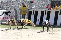 Bookmakers_Cup_Ceska_Greyhound_Dostihova_Federace_IMG_3622.JPG