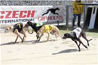 Bookmakers_Cup_Ceska_Greyhound_Dostihova_Federace_IMG_3623.JPG