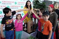 Bookmakers_Cup_Ceska_Greyhound_Dostihova_Federace_IMG_3645.JPG