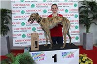 Bookmakers_Cup_Ceska_Greyhound_Dostihova_Federace_IMG_3668.JPG