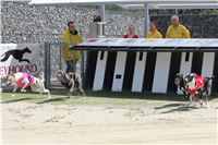 Bookmakers_Cup_Ceska_Greyhound_Dostihova_Federace_IMG_3717.JPG