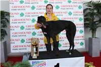 Bookmakers_Cup_Ceska_Greyhound_Dostihova_Federace_IMG_3736.JPG