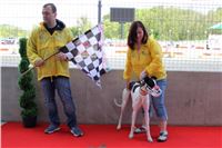 Bookmakers_Cup_Ceska_Greyhound_Dostihova_Federace_IMG_3791.JPG