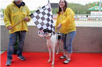 Bookmakers_Cup_Ceska_Greyhound_Dostihova_Federace_IMG_3808.JPG